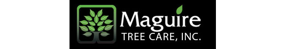 maguire tree care